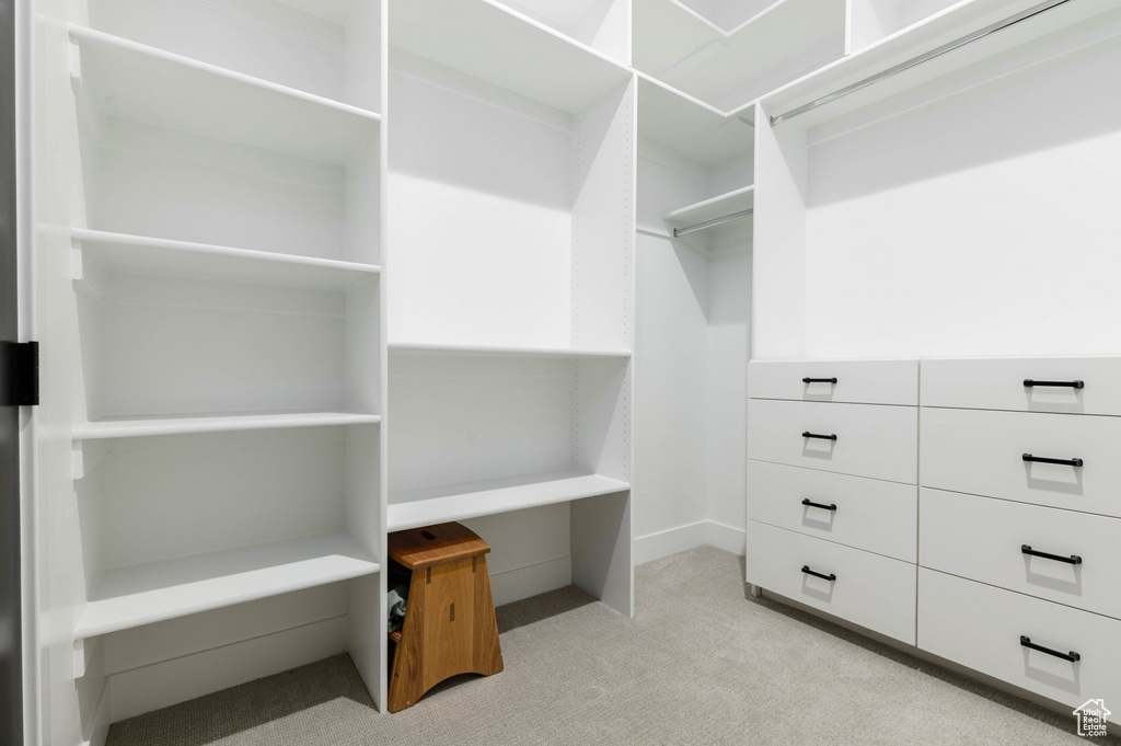 Spacious closet featuring light carpet