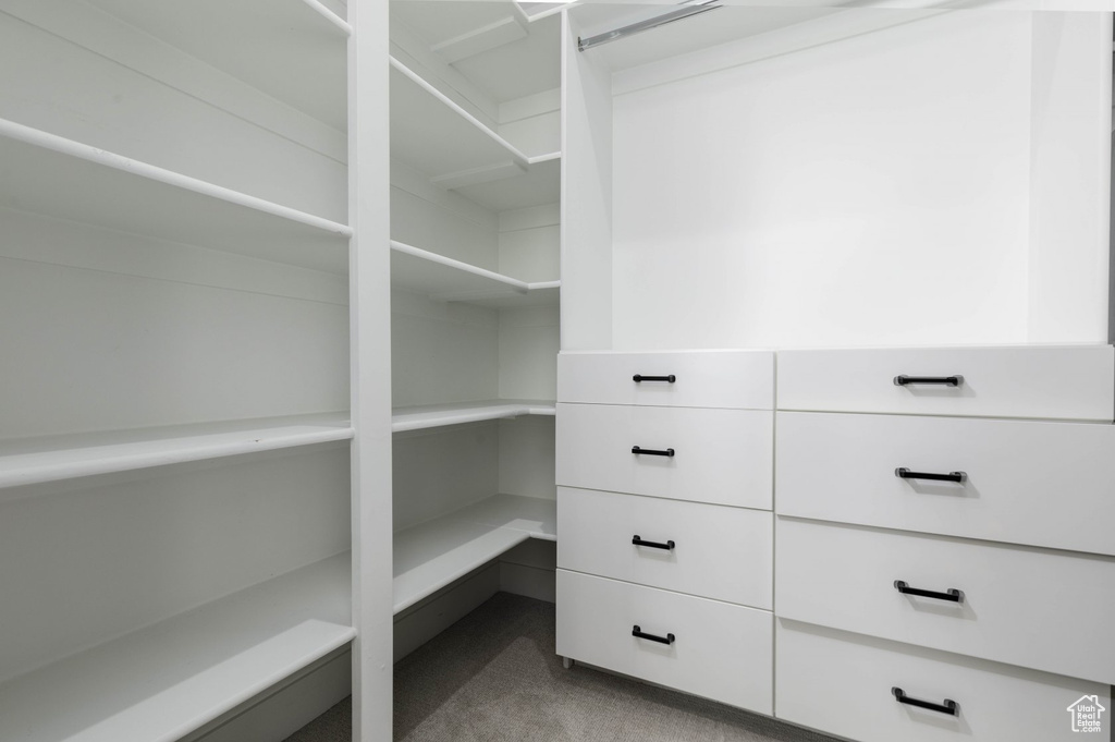 Walk in closet featuring carpet flooring