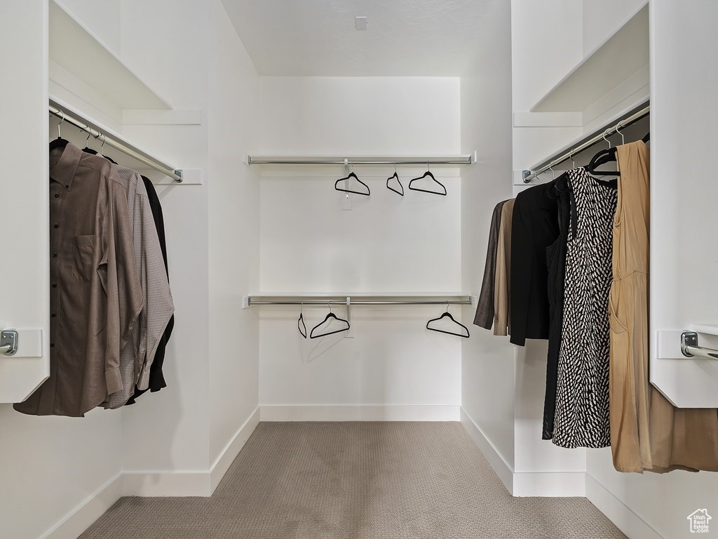 Walk in closet featuring carpet floors