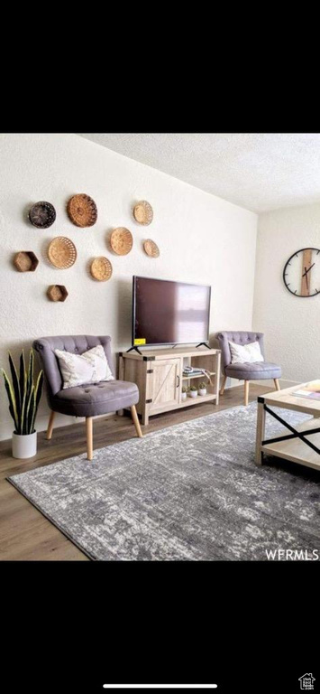 Living room featuring wood-type flooring and a textured ceiling