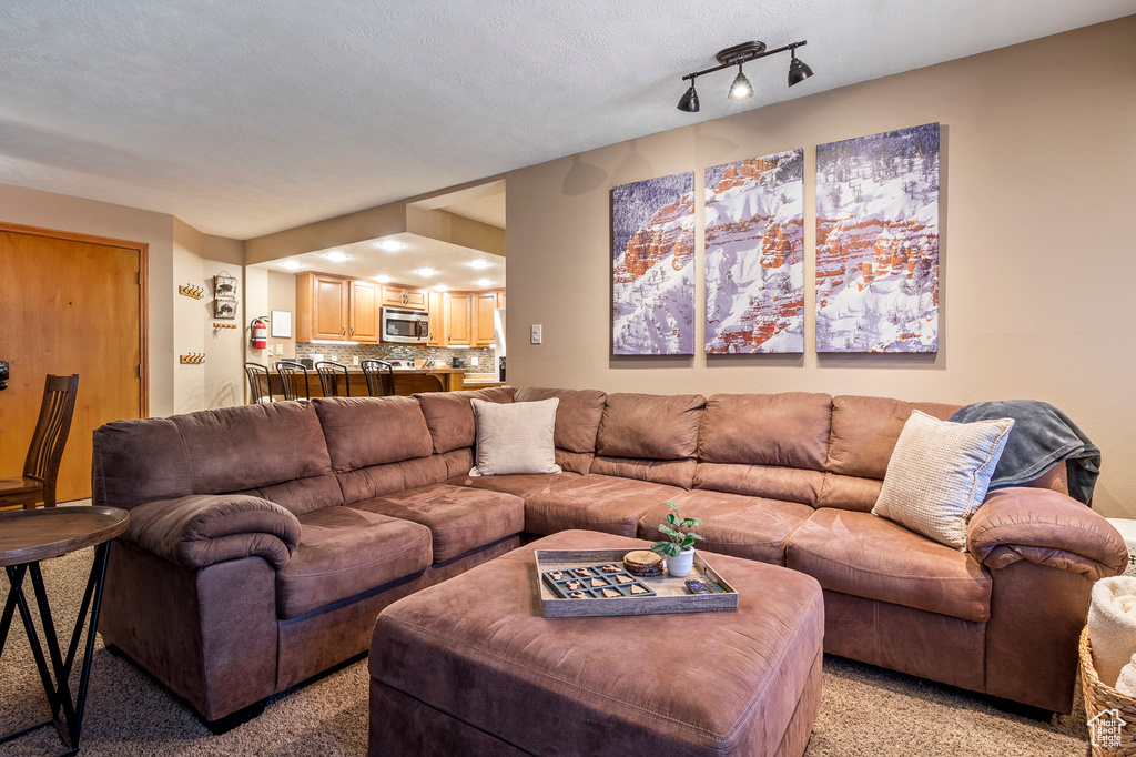 Living room featuring light colored carpet and a textured ceiling