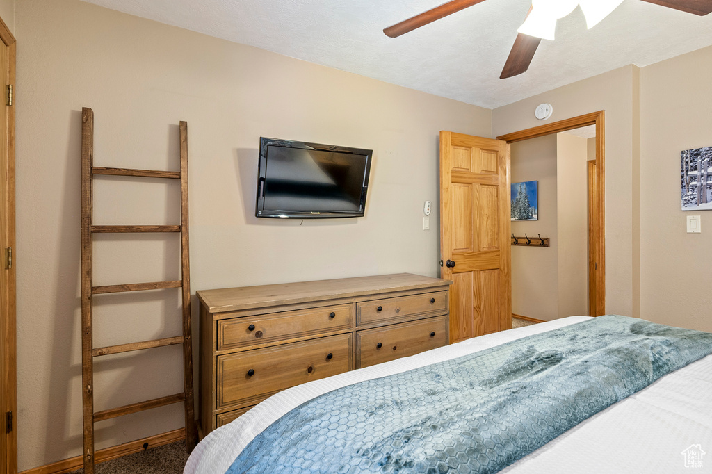 Carpeted bedroom with ceiling fan