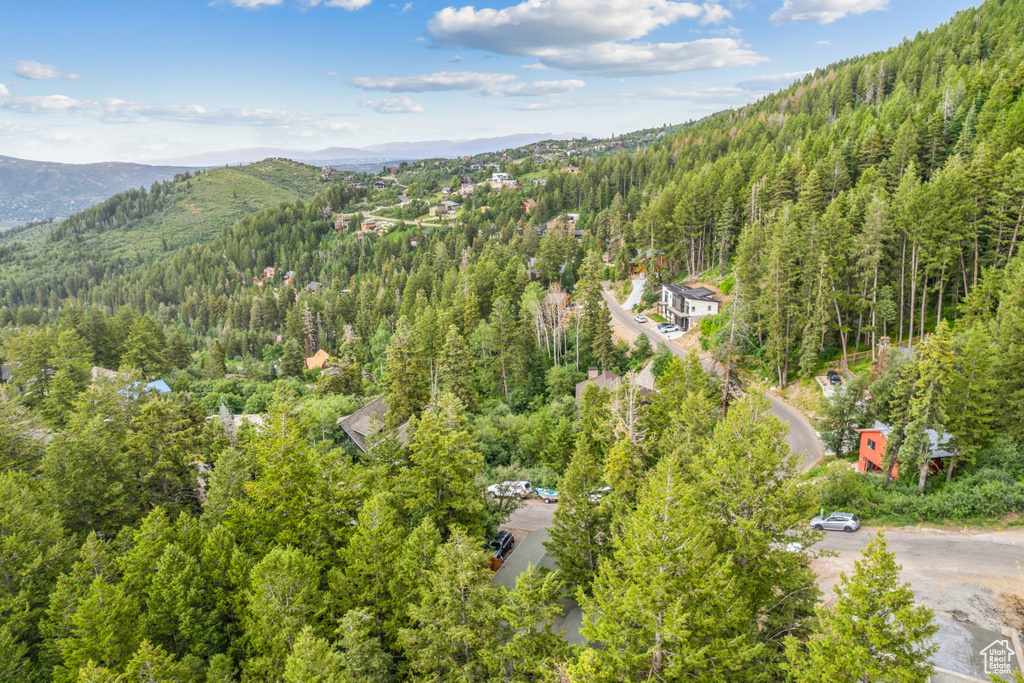 Aerial view with a mountain view