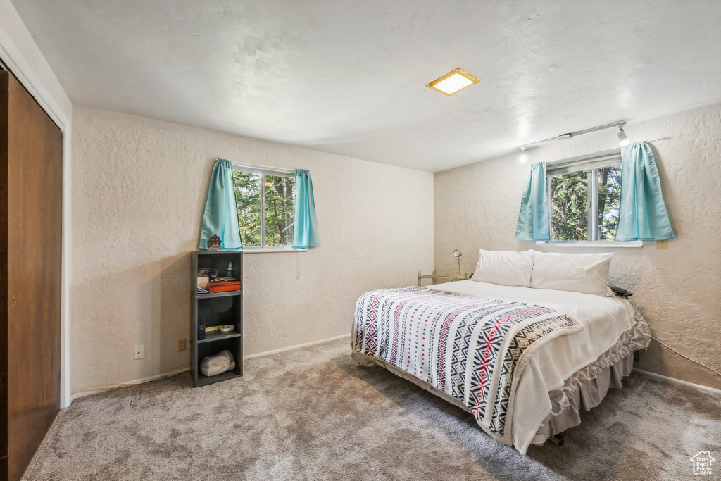 Carpeted bedroom with a closet and multiple windows