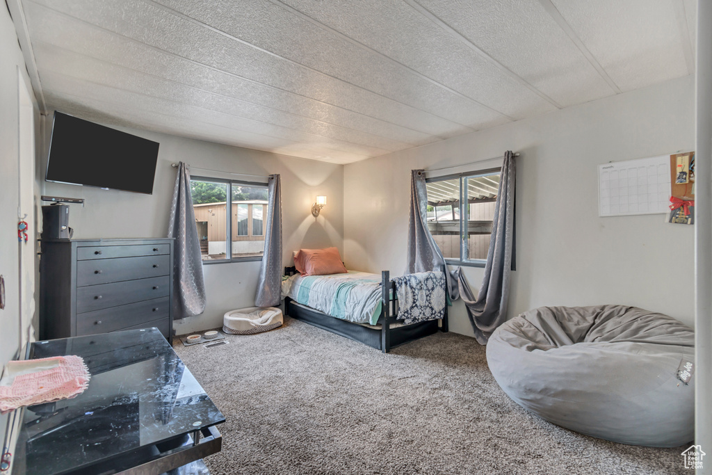 Carpeted bedroom featuring a textured ceiling