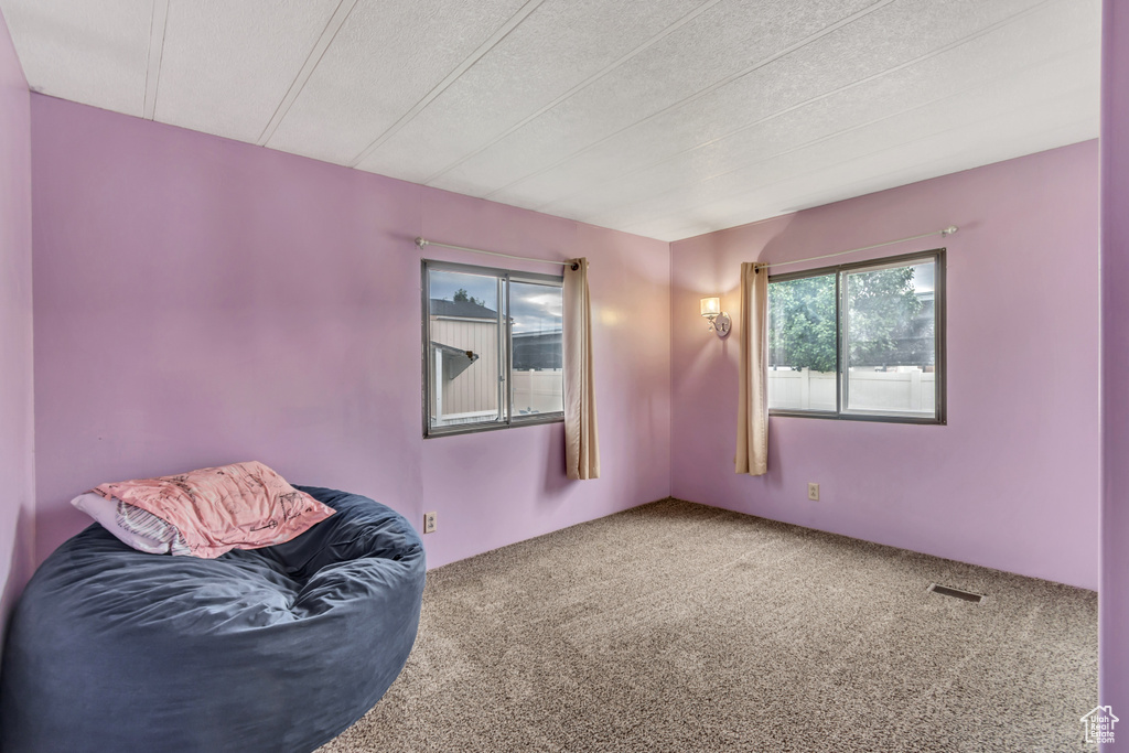 Interior space featuring carpet floors