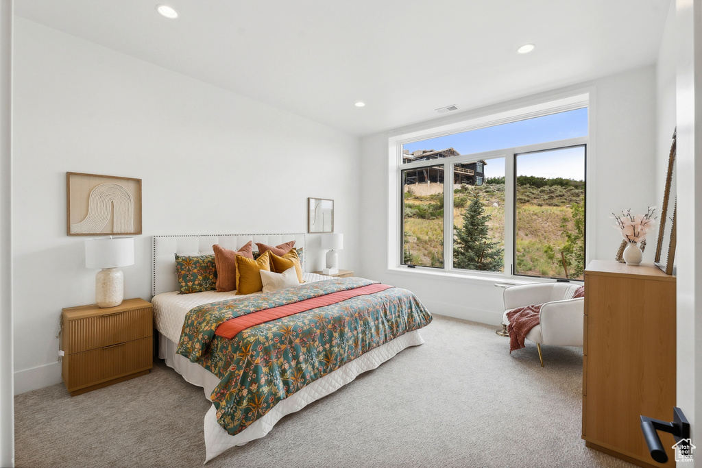 Bedroom with carpet floors