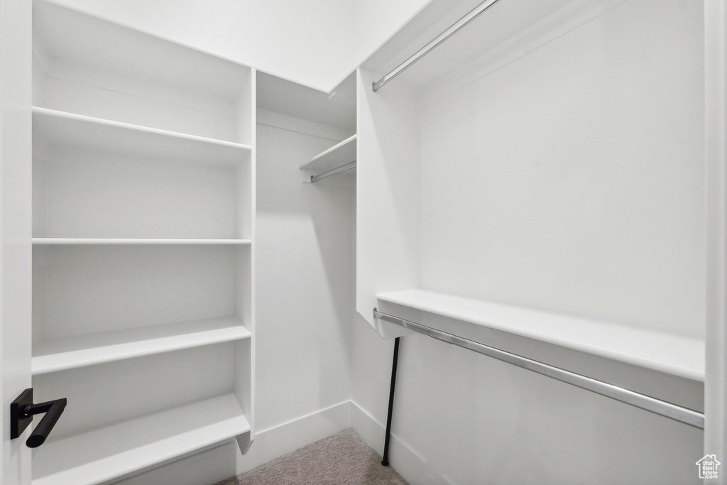 Walk in closet featuring carpet floors