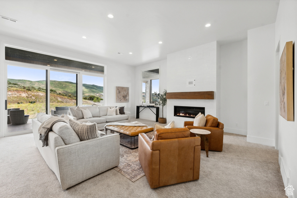 Living room with light carpet