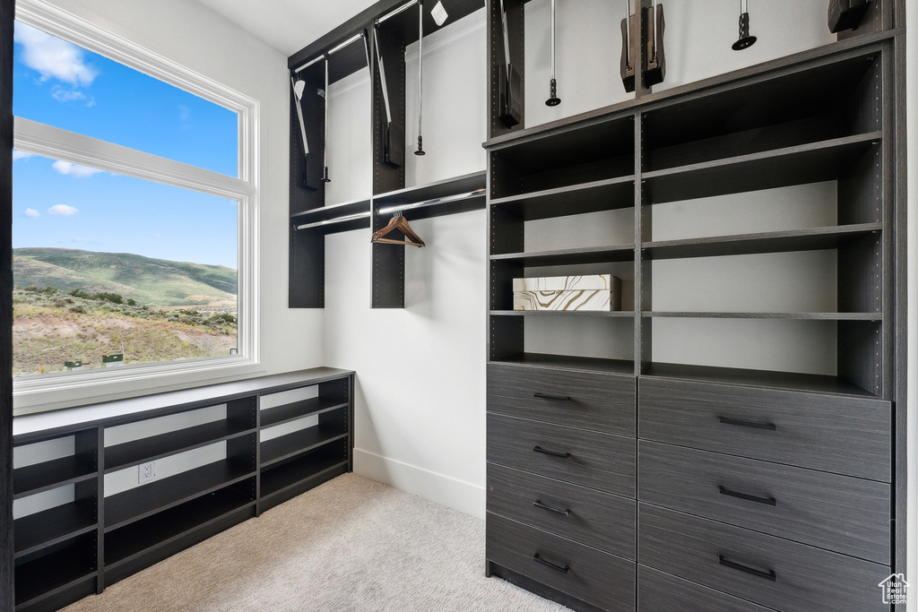 Walk in closet featuring light carpet