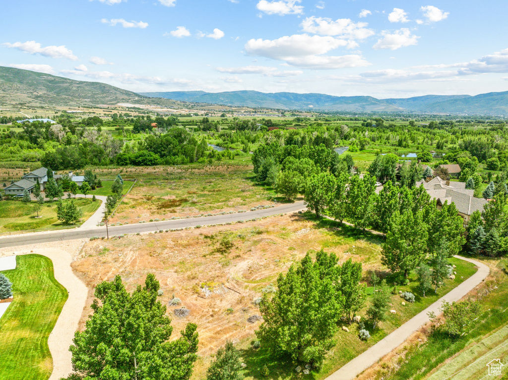 Drone / aerial view with a mountain view