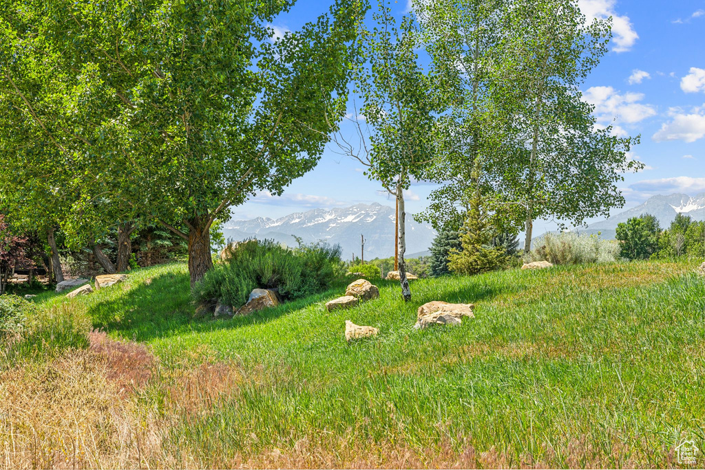 View of yard with a mountain view