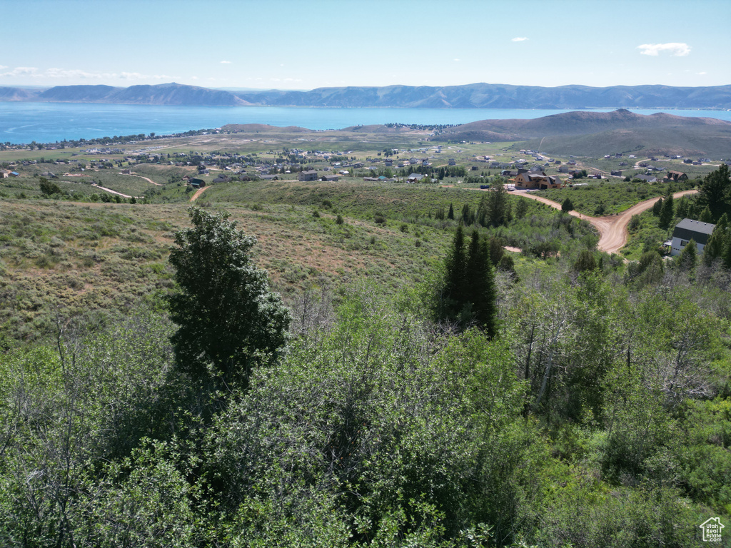 Drone / aerial view featuring a mountain view