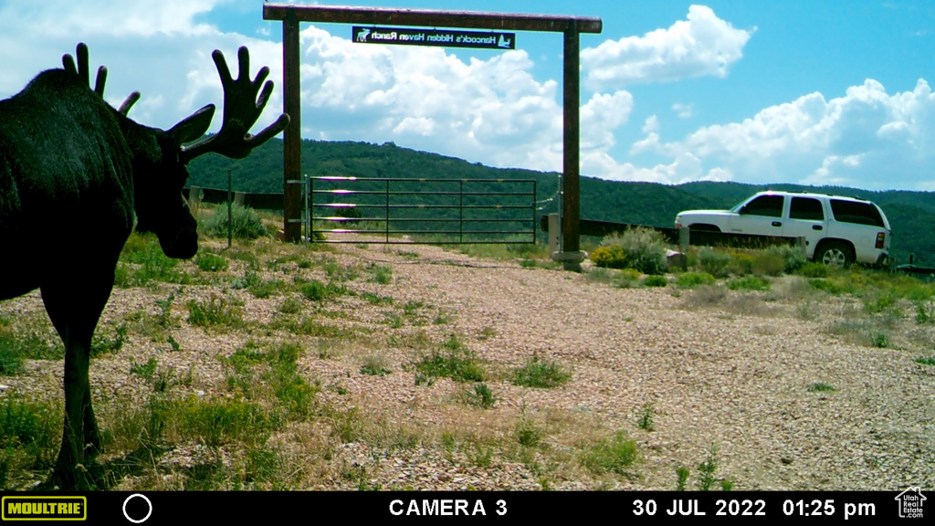 Property view of mountains featuring a rural view