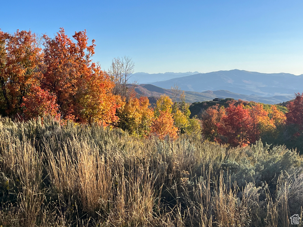 Mountain view