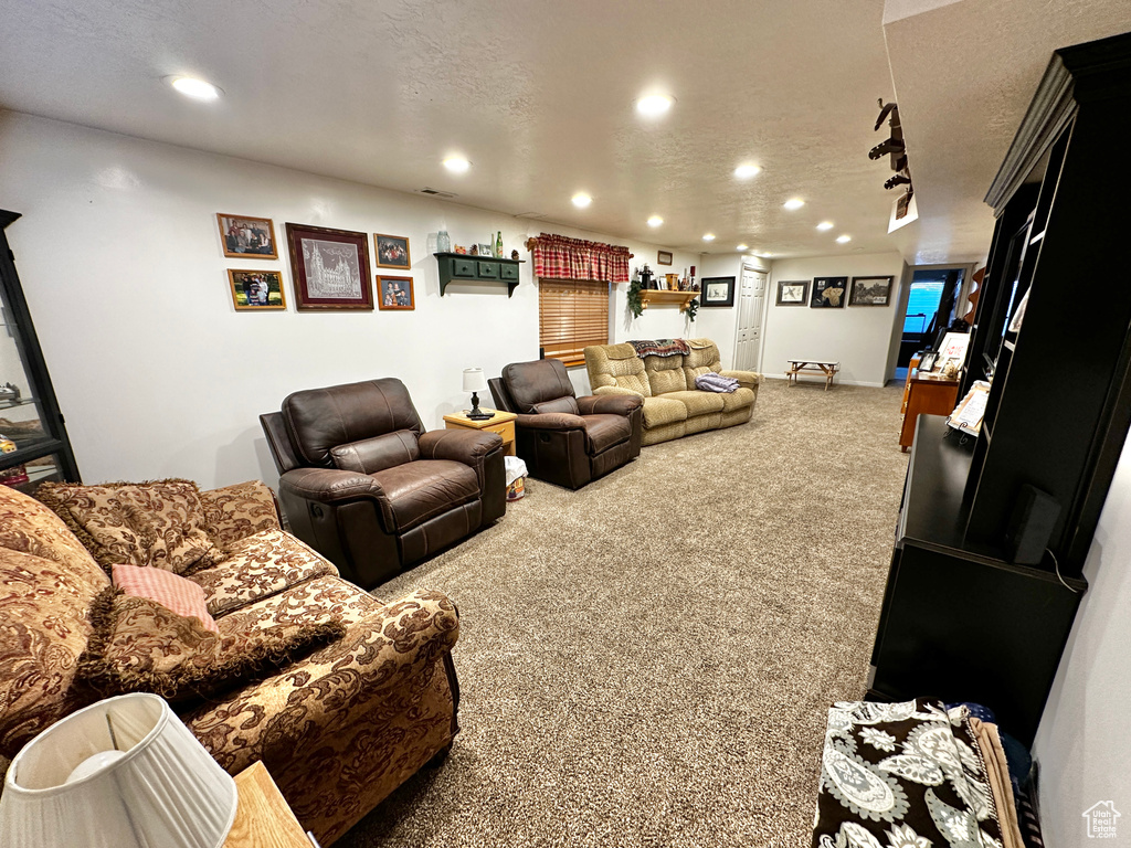 Carpeted living room featuring a textured ceiling