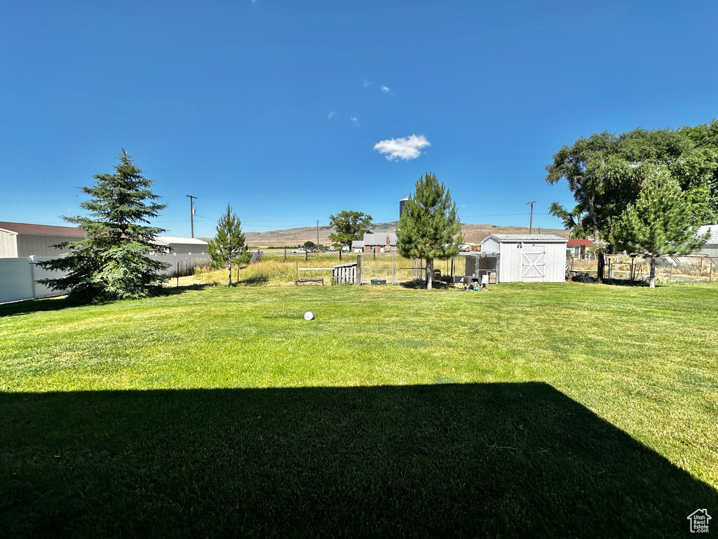 View of yard with a storage unit