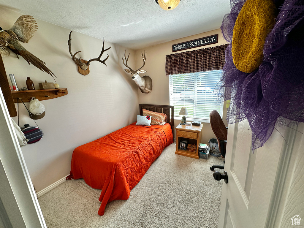 Bedroom featuring carpet and a textured ceiling