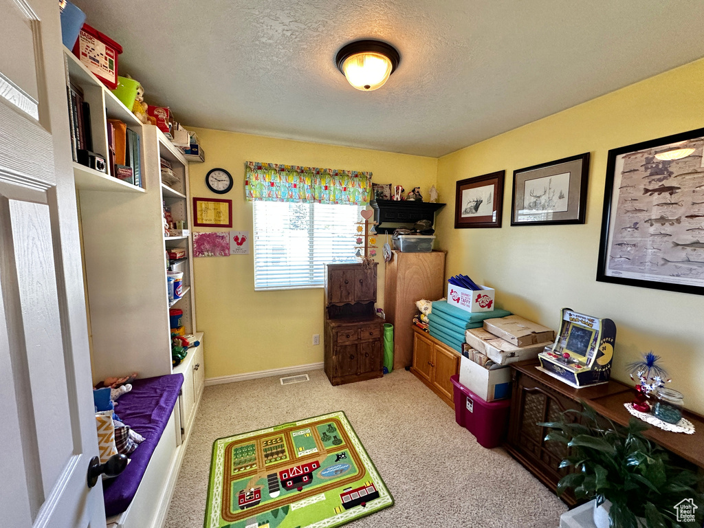 Carpeted home office with a textured ceiling