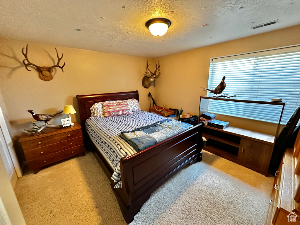 Carpeted bedroom with a textured ceiling