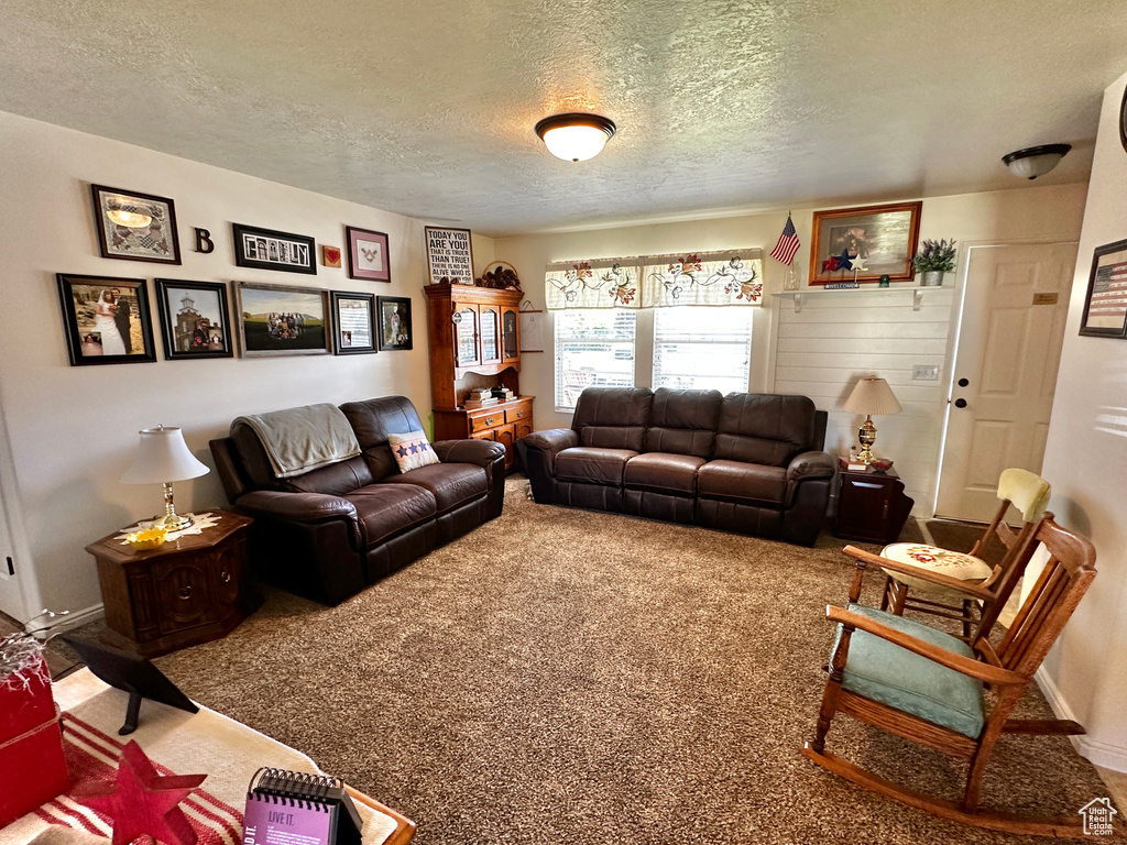 Living room featuring carpet flooring and a textured ceiling