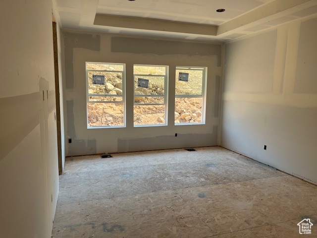 Unfurnished room with a wealth of natural light and a tray ceiling