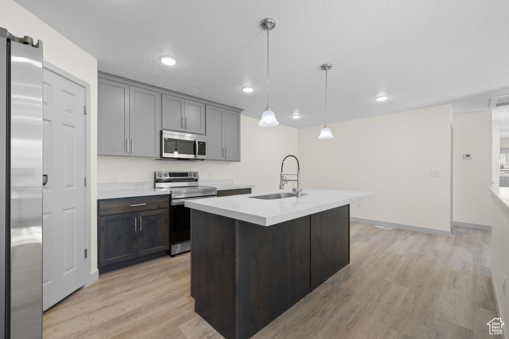 Kitchen with light hardwood / wood-style flooring, stainless steel appliances, a center island with sink, sink, and a barn door