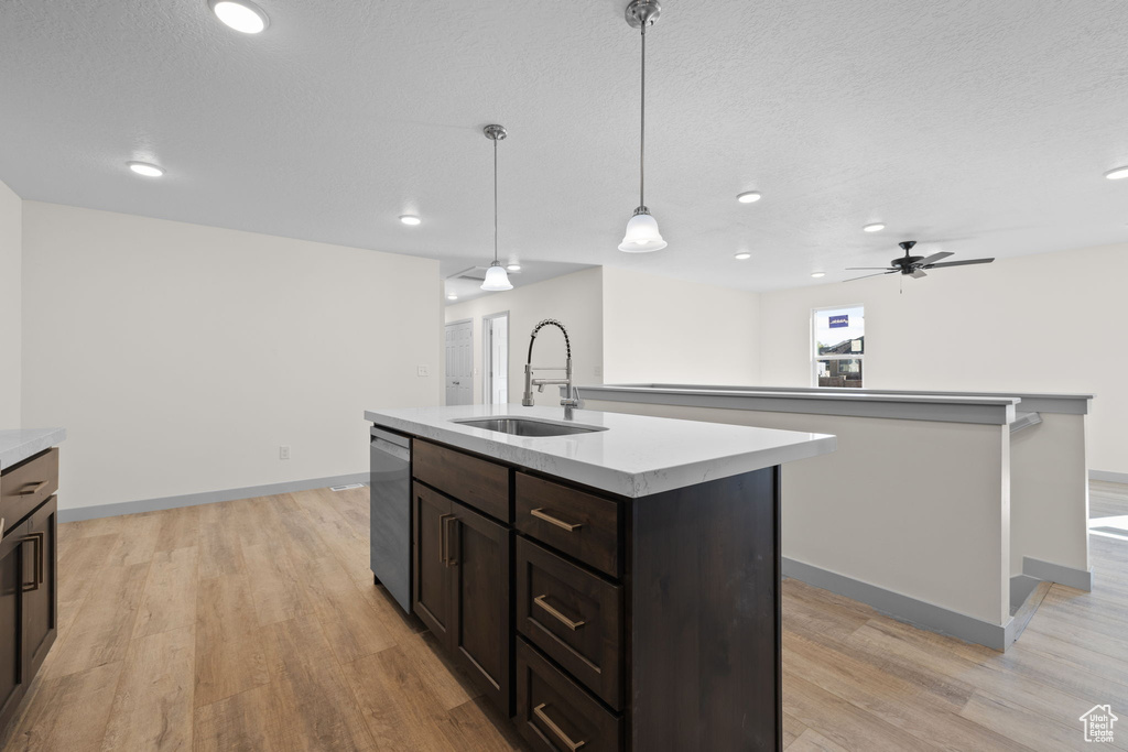 Kitchen with light hardwood / wood-style flooring, sink, pendant lighting, and a kitchen island with sink