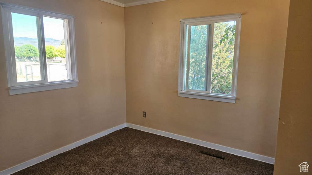 Carpeted spare room featuring plenty of natural light