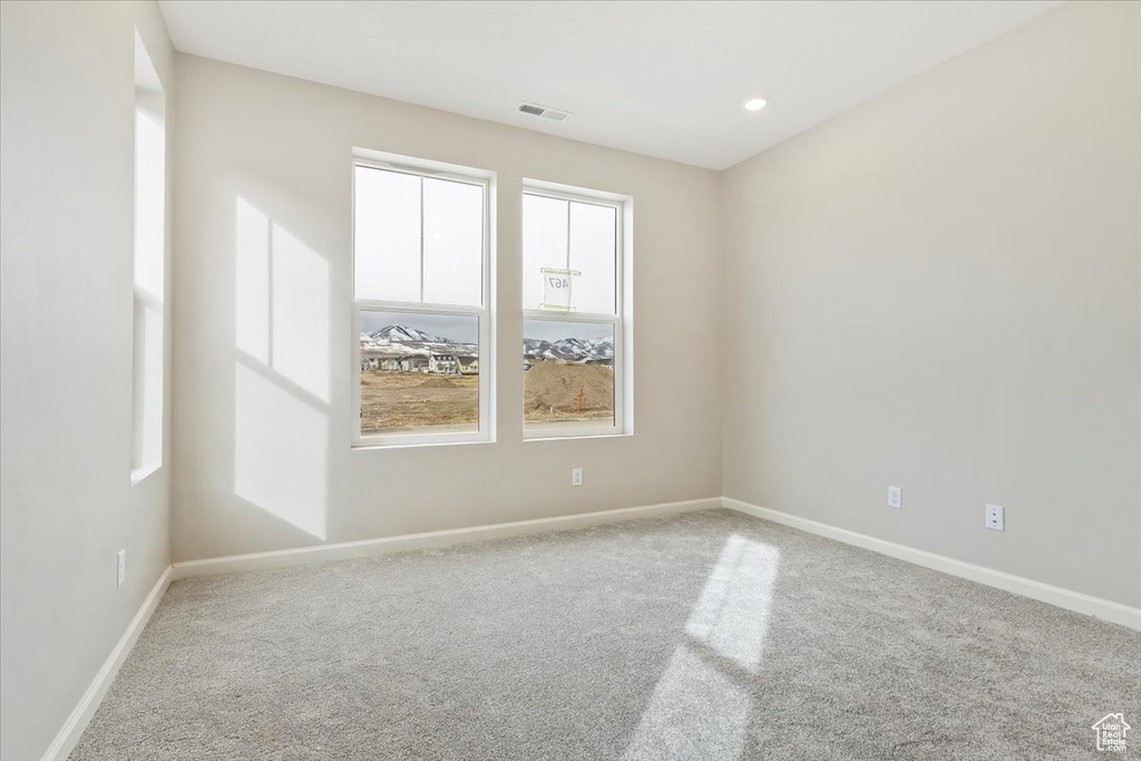 Spare room featuring plenty of natural light and carpet