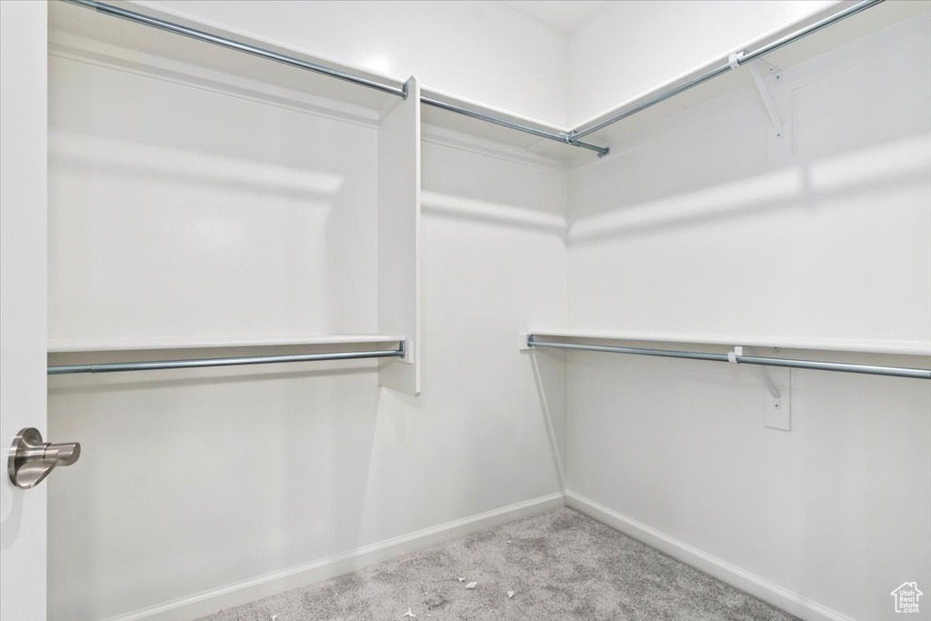 Walk in closet featuring carpet flooring