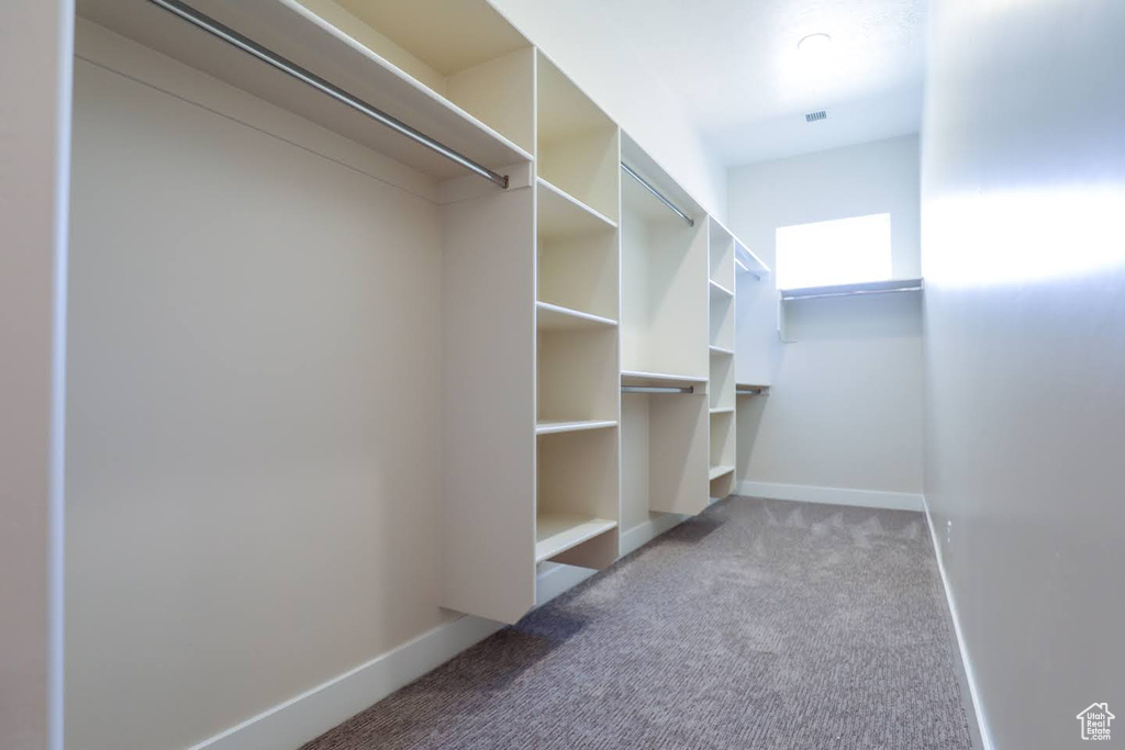 Spacious closet featuring light colored carpet