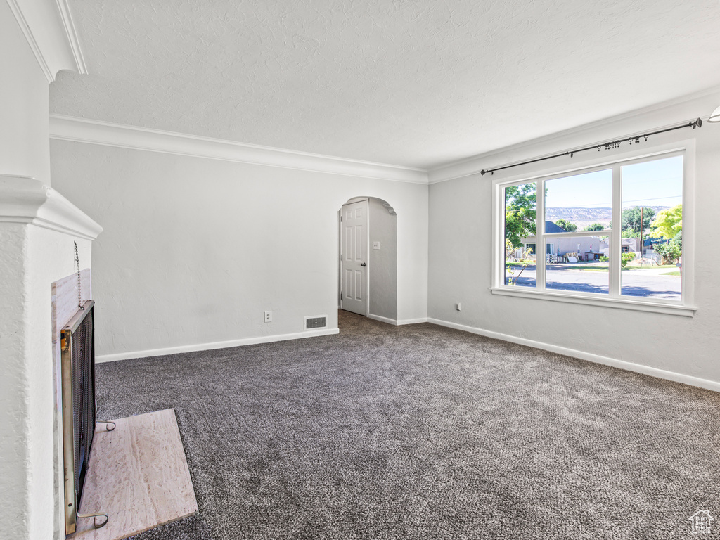 Unfurnished living room with crown molding, dark carpet, and a textured ceiling