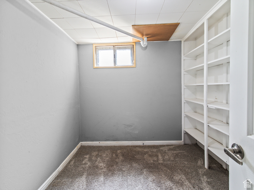 Basement with carpet floors