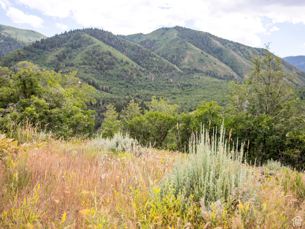 View of mountain view