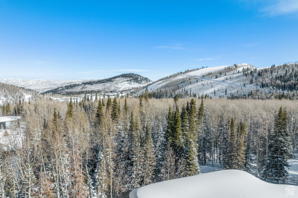 Property view of mountains