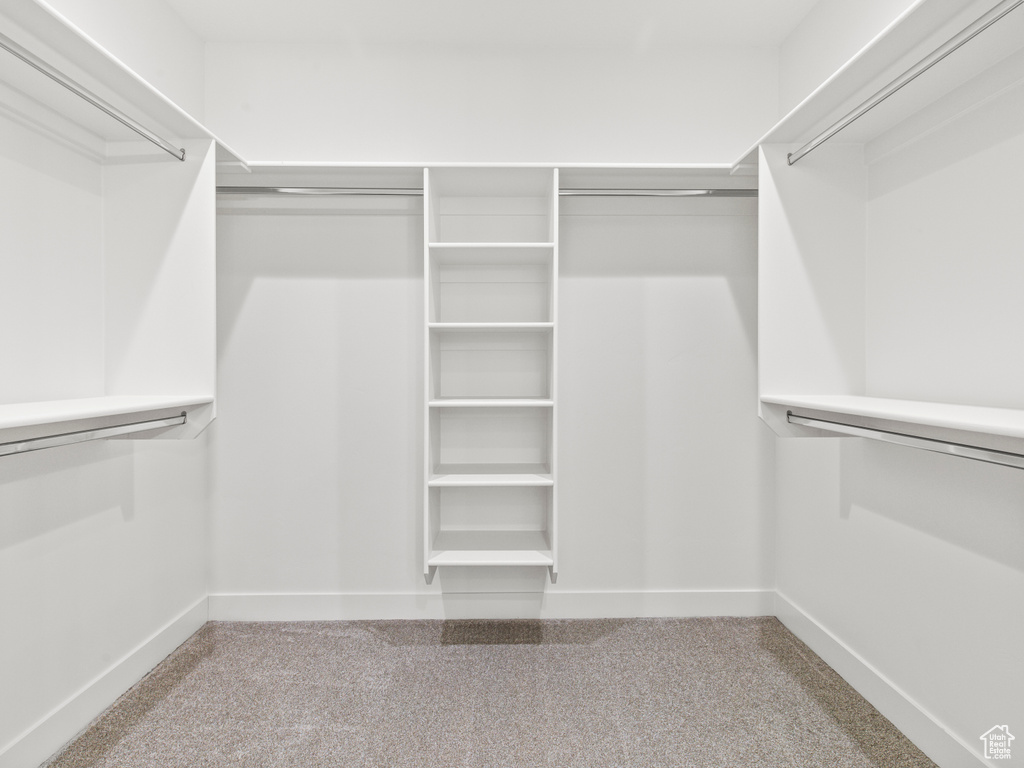 Spacious closet featuring light colored carpet