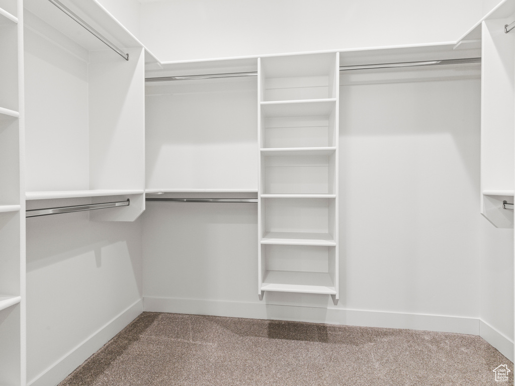 Spacious closet with carpet floors