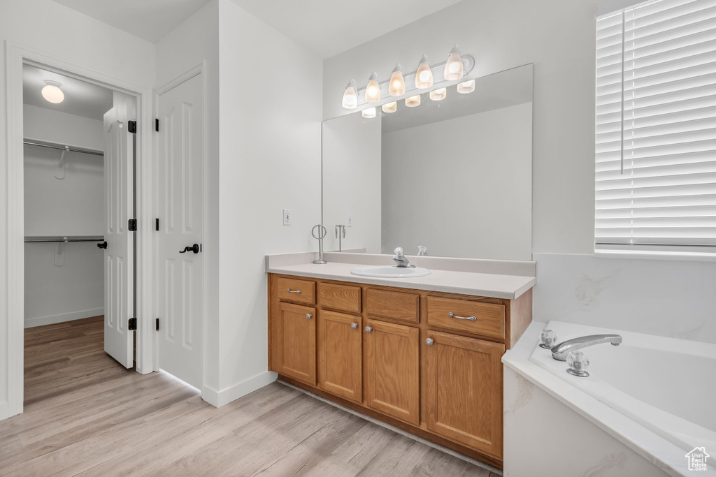 Bathroom featuring vanity, a washtub, and wood-type flooring