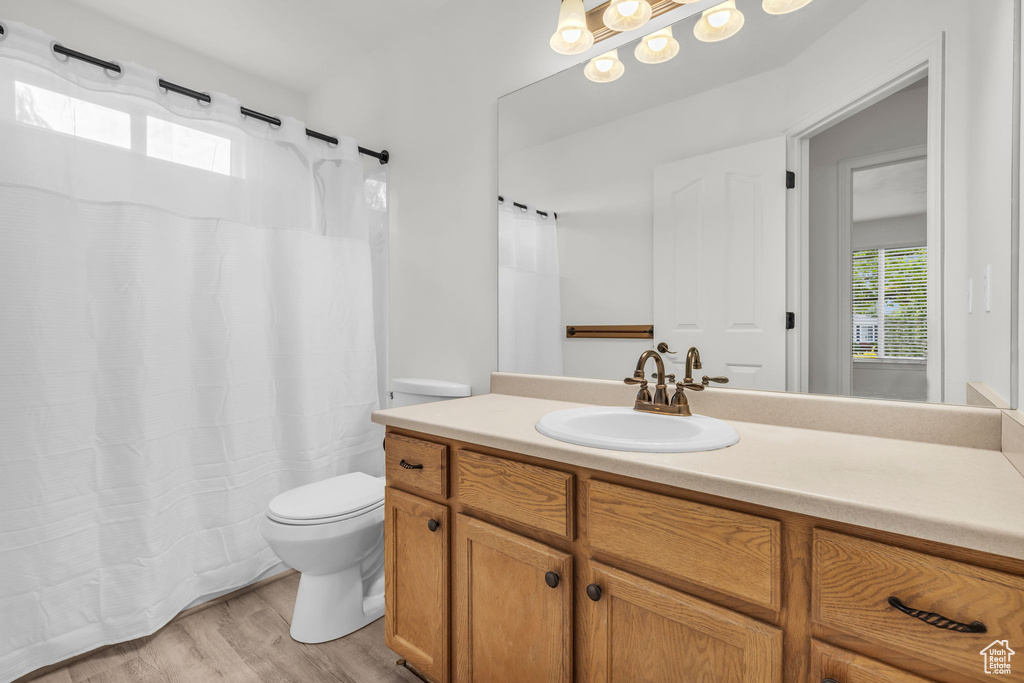 Bathroom featuring vanity, hardwood / wood-style flooring, and toilet