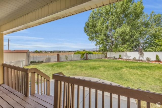 Wooden terrace with a lawn