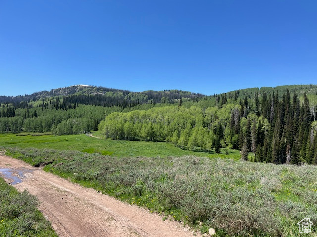 Property view of mountains