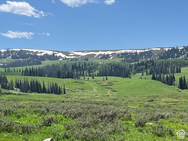 View of mountain feature with a rural view