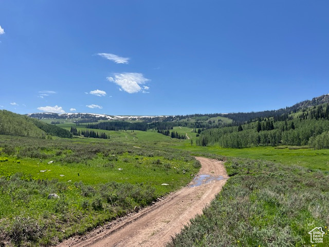 Property view of mountains with a rural view