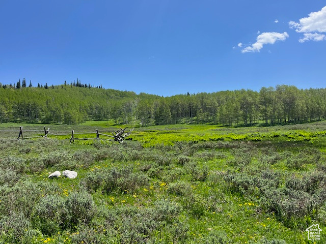 View of local wilderness featuring a rural view