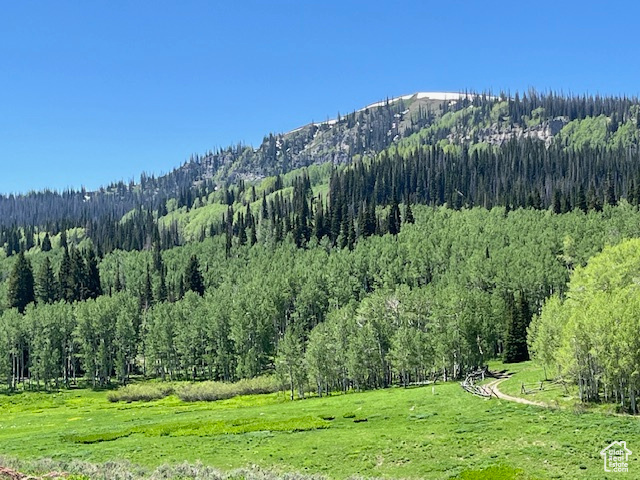 Property view of mountains