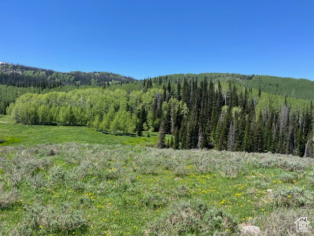 View of mountain feature