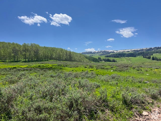 View of mountain feature featuring a rural view