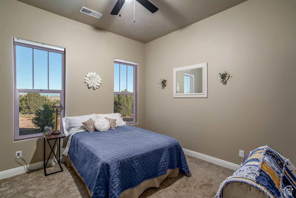 Carpeted bedroom featuring ceiling fan and multiple windows