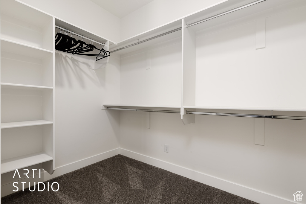 Spacious closet with carpet floors